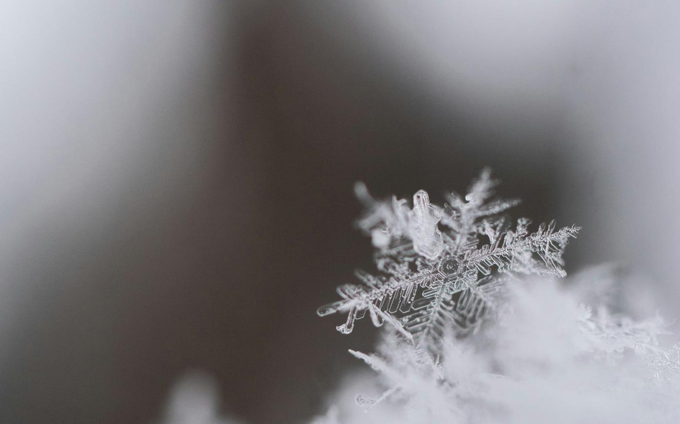 closeup photography of snowflakes by Aaron Burden courtesy of Unsplash.