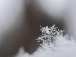 closeup photography of snowflakes by Aaron Burden courtesy of Unsplash.